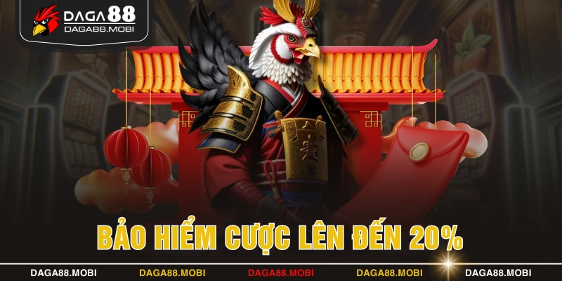 Bảo hiểm cược lên đến 20%