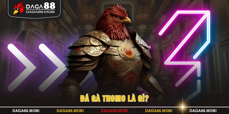 Đá gà Thomo là gì?