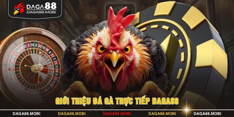 Giới thiệu đá gà trực tiếp DAGA88
