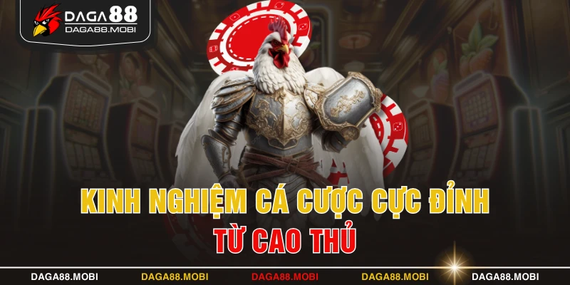 Kinh nghiệm cá cược cực đỉnh từ cao thủ