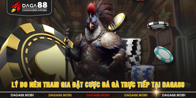 Lý do nên tham gia đặt cược đá gà trực tiếp tại DAGA88