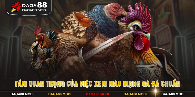 Tầm quan trọng của việc xem màu mạng gà đá chuẩn